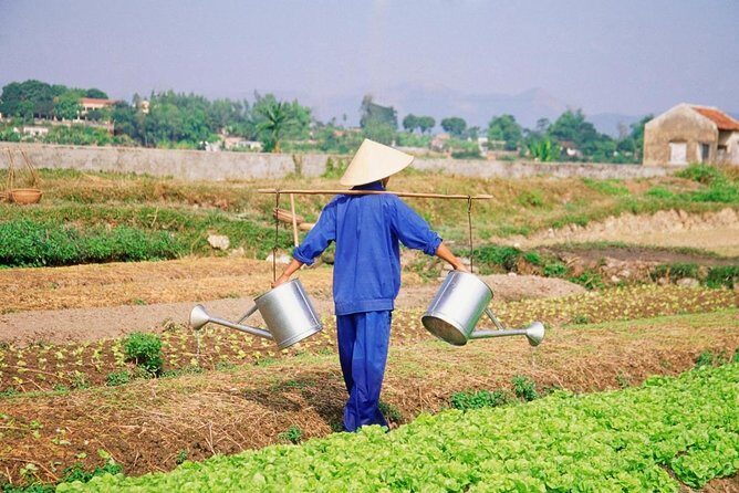 3 Hours Hoi An Countryside Bicycle Tour - Why bike the countryside from Hoi An old town?