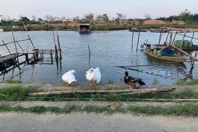 3 Hours Motorbike Tour in Hoi An Countryside. - The Stop That Makes It Better: Vietnamese Coffee and a Breather