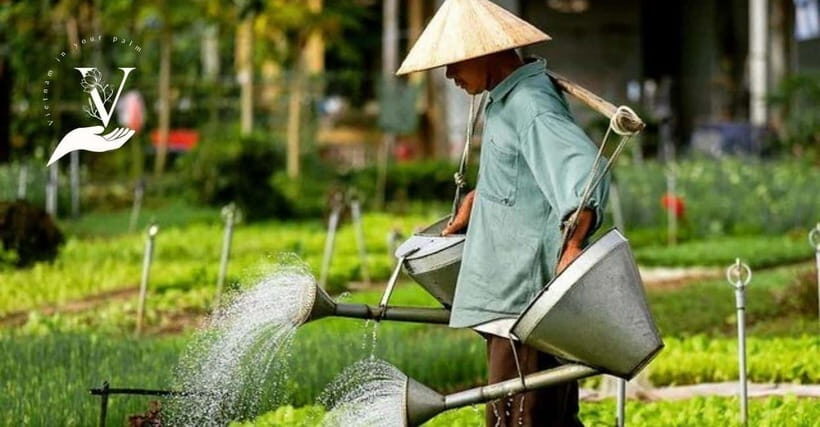 Hoi An Food Tour - Street Eats And Hoi An Hidden Gems - Meet your guide: Quin’s dish-by-dish storytelling, Andy’s humor, and why it matters
