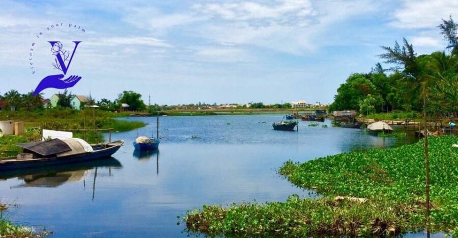 Hoi An Food Tour - Street Eats And Hoi An Hidden Gems - White rose shrimp-pork and Bahn Mi: when the tour becomes your main meal