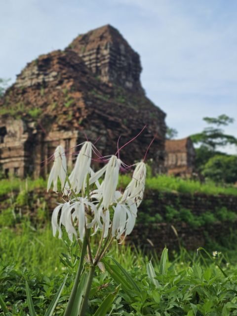 Hoi An: My Son Sanctuary & Sunset River Cruise BBQ or Banhmi - Should You Book This My Son + Sunset Cruise?