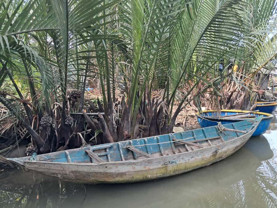 Hoi An: My Son Sanctuary with Basket Boat and Lunch Options - Price and logistics: what $18 really means