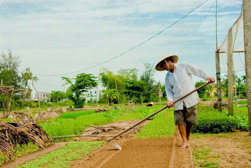 Hoian/Da Nang: Fishing, basket riding and cooking class - Back to the Kitchen: The Cooking Class and Four Dish Menu