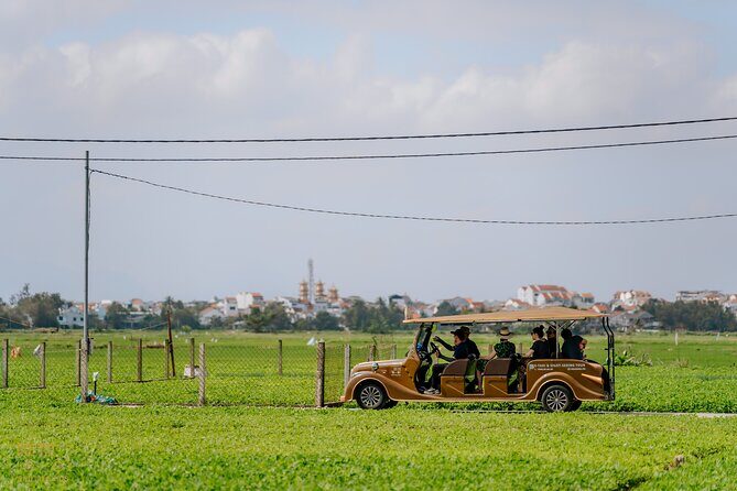 HoiAnGO Experience Local Life: Countryside by Electric Car - Bay Mau Coconut Forest: nipa palms, snacks, and a slow stroll