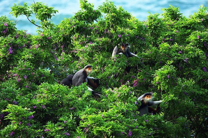 Marble mountain, Am Phu cave and Monkey mountains group tour - Group size, guides, and keeping everyone together